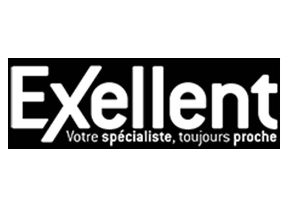 Logo Exellent